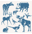 wild animals vector image
