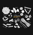 italian pasta set vector image