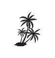palm tree summer logo template vector image vector image