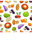 cartoon tropical fruit seamless pattern background vector image