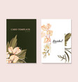 calla bloom with dried palm leaves pampas grass vector image vector image