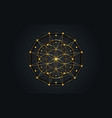 seed of life symbol sacred geometry gold mandala vector image vector image