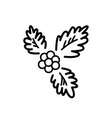 christmas holly branch doodle isolated vector image