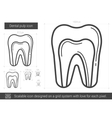 dental pulp line icon vector image