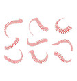 baseball laces set stitches with red vector image vector image