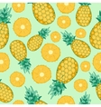 fruits pineapple seamless patterns vector image