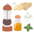 seasoning food herbs natural healthy spices vector image vector image