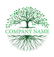 abstract vibrant tree and root logo design vector image