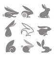 rabbit animal logo or icon vector image vector image