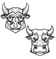 bull heads isolated on white background design vector image