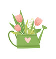 bouquet of tulips in green watering can hello vector image