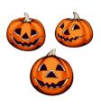 halloween pumpkin vector image
