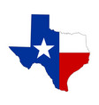 texture texas state icon vector image