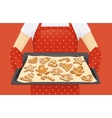 christmas cookies background vector image