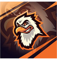 eagle head sport mascot logo design vector image vector image
