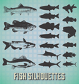 fish silhouettes vector image vector image