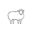 sheep hand drawn sketch icon vector image