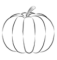 outline pumpkin black fine lines and spine vector image