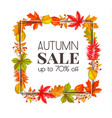 seasonal autumn banner vector image vector image