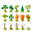 polygonal isometric trees low poly without vector image