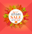 seasonal autumn banner vector image vector image