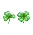 realistic clover leaves vector image