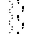 shoes and dog paws vector image