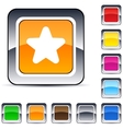 star square button vector image