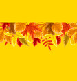 pattern with autumn leaves background vector image vector image