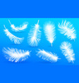 realistic fluffy feathers falling twirled plumage vector image vector image