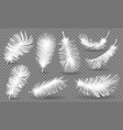 realistic fluffy feathers falling twirled plumage vector image vector image