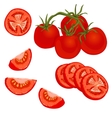 Tomatoes collection isolated Royalty Free Vector Image