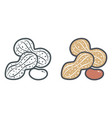 flat icons of peanut vector image vector image