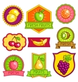 set of badges and labels with stylized fresh ripe vector image