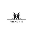 frenchie bulldog logo banner on white vector image