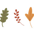 set of leaves autumn green red and yellow leaves vector image