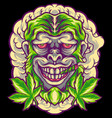 monkey marijuana head vector image vector image