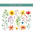 watercolor floral collection vector image