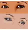 eyes vector image vector image