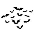 scary bat halloween creepy bats ghost vector image
