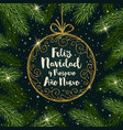 feliz navidad - christmas greetings in spanish vector image