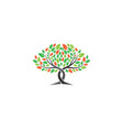 tree logo template icon vector image