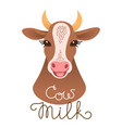 cute cow portrait milk inscription calf vector image vector image