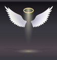 wings and golden halo vector image