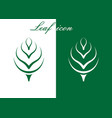 green leaf logo vector image