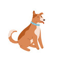 happy friendly dog sitting with tongue out vector image