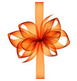 orange bow and ribbon on white background vector image
