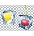 transparent ice cubes with cherry and lemon vector image