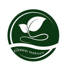green leaf logo vector image vector image