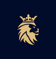 lion logo template vector image
